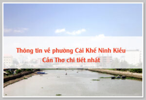 Thông tin về phường Cái Khế Ninh Kiều Cần Thơ chi tiết nhất