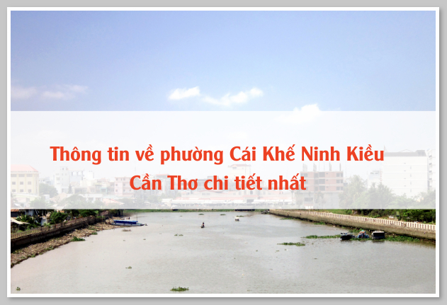 Thông tin về phường Cái Khế Ninh Kiều Cần Thơ chi tiết nhất