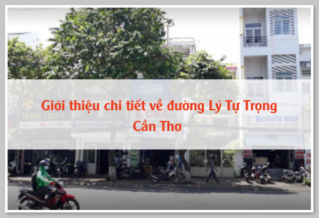 Giới thiệu chi tiết về đường Lý Tự Trọng Cần Thơ