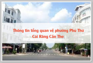 Thông tin tổng quan về phường Phú Thứ Cái Răng Cần Thơ