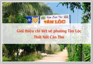 Giới thiệu chi tiết về phường Tân Lộc Thốt Nốt Cần Thơ