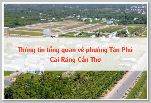 Thông tin tổng quan về phường Tân Phú Cái Răng Cần Thơ