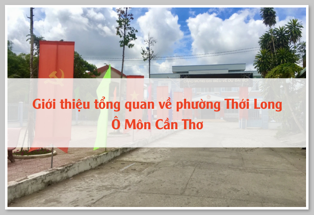 Giới thiệu tổng quan về phường Thới Long Ô Môn Cần Thơ