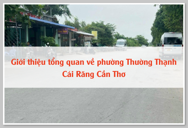 Giới thiệu tổng quan về phường Thường Thạnh Cái Răng Cần Thơ