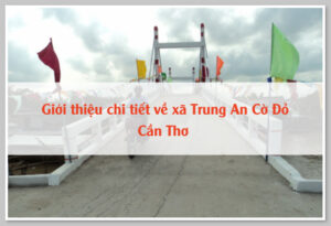 Giới thiệu chi tiết về xã Trung An Cờ Đỏ Cần Thơ