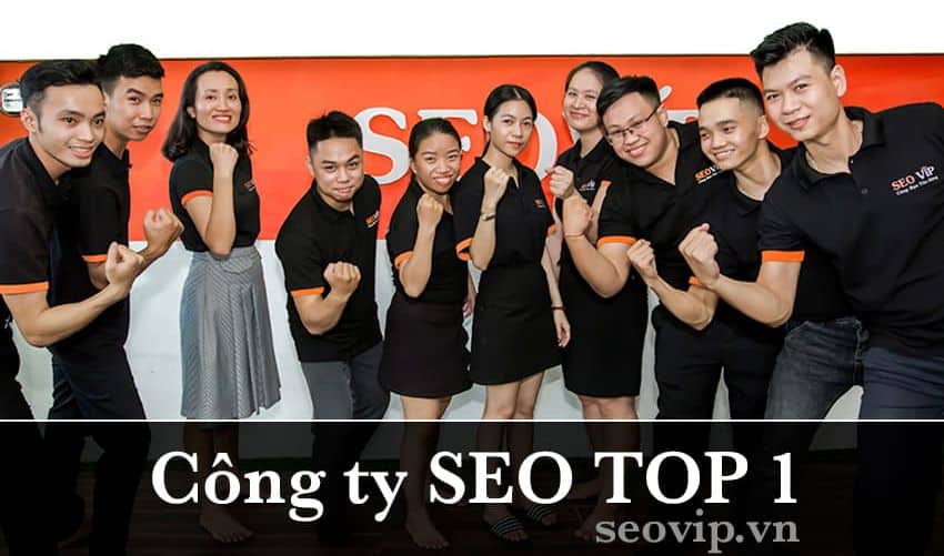 cong ty seo vip